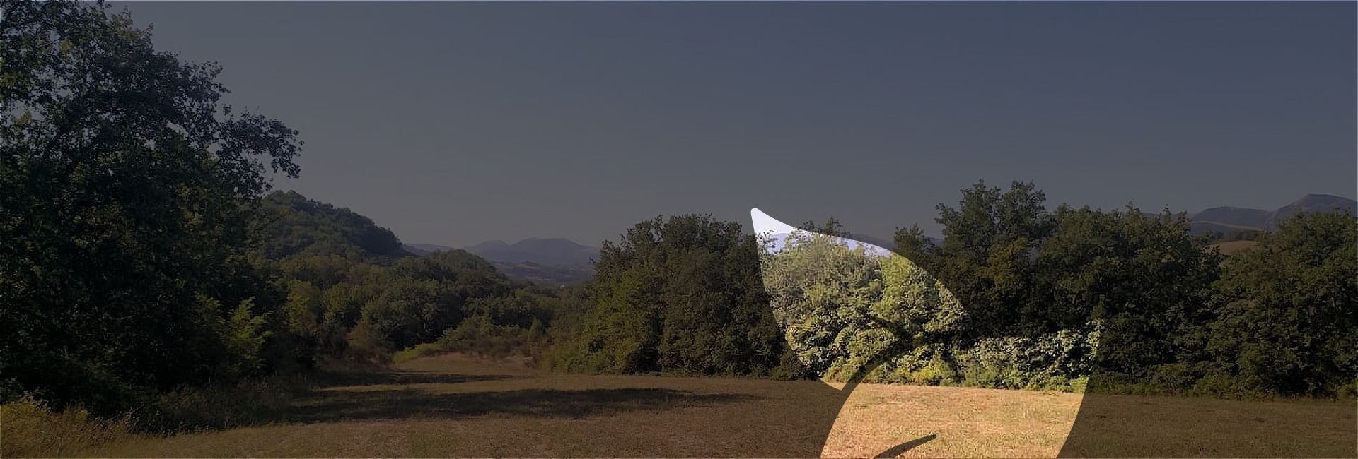 A naturist campsite in Le Marche